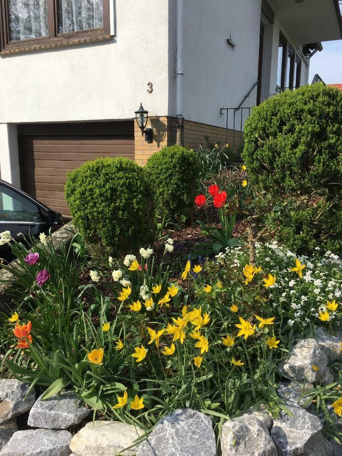 Ferienwohnung Dettum Apartament